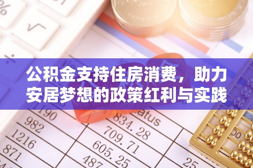 通河公积金支持住房消费，助力安居梦想的政策红利与实践