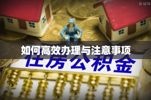 通河如何高效办理与注意事项