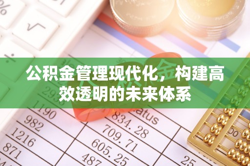 通河公积金管理现代化，构建高效透明的未来体系
