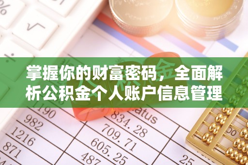 通河掌握你的财富密码，全面解析公积金个人账户信息管理与优化