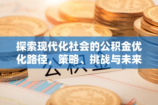 通河探索现代化社会的公积金优化路径，策略、挑战与未来展望
