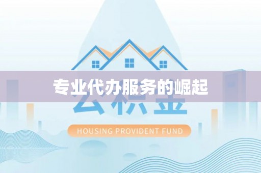通河专业代办服务的崛起
