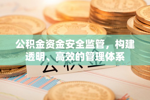 通河公积金资金安全监管，构建透明、高效的管理体系