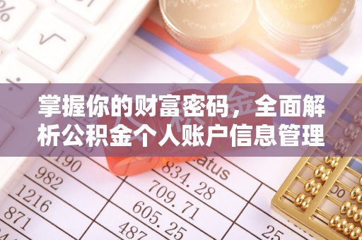 通河掌握你的财富密码，全面解析公积金个人账户信息管理