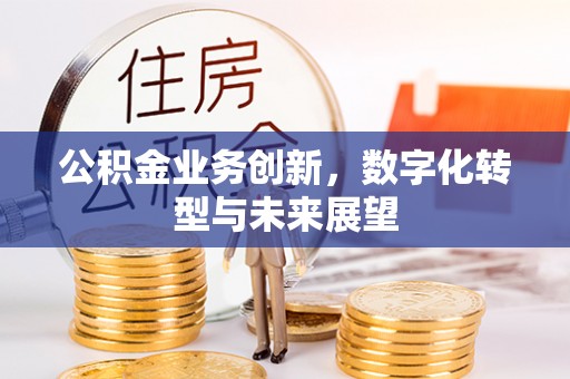 通河公积金业务创新，数字化转型与未来展望