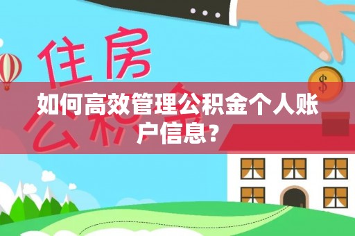 通河如何高效管理公积金个人账户信息？