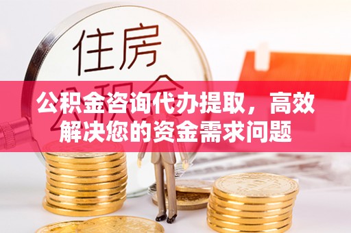 通河公积金咨询代办提取，高效解决您的资金需求问题