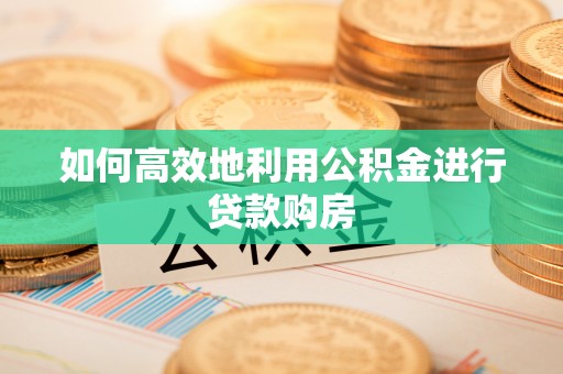 通河如何高效地利用公积金进行贷款购房